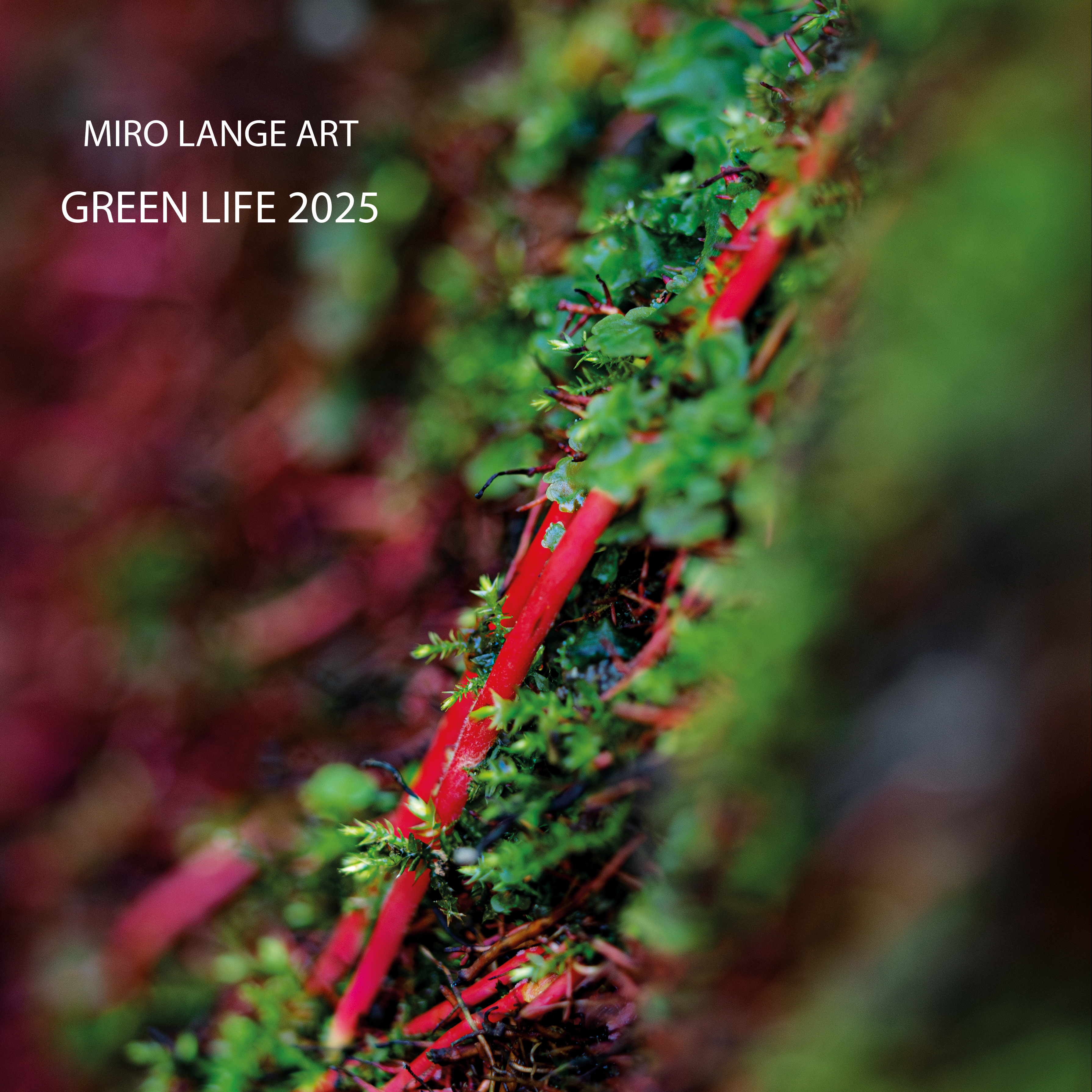 21,0x21,0 cm Green Life 2025 Kalender Vorbestellung Miro Lange Art 